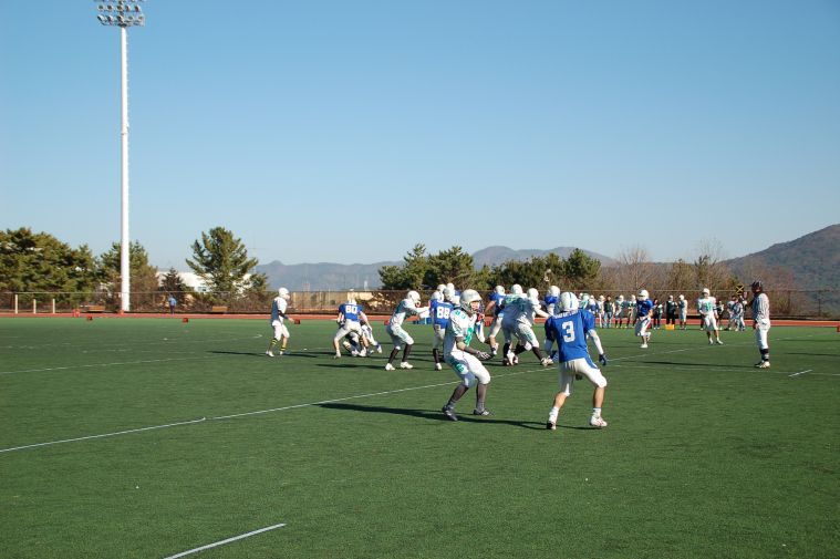 DSC_0266.JPG