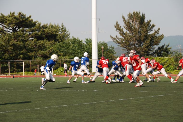 DSC_0603.JPG