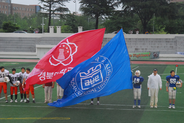 DSC_3460.jpg