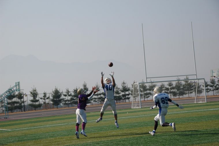 DSC_0339.JPG