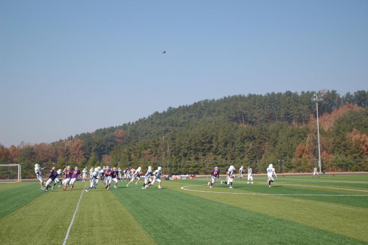 DSC_0345.JPG