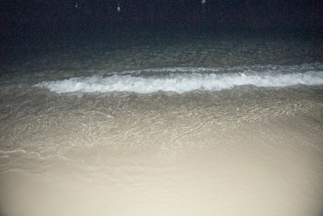 00634.jpg